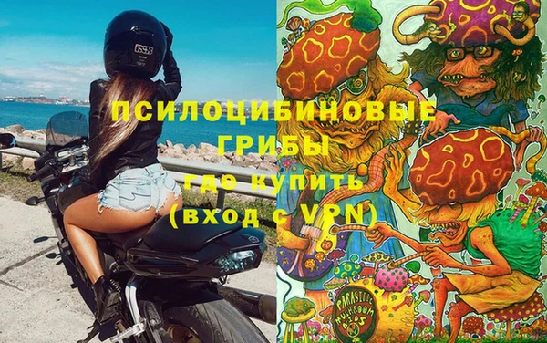 mdpv Рославль