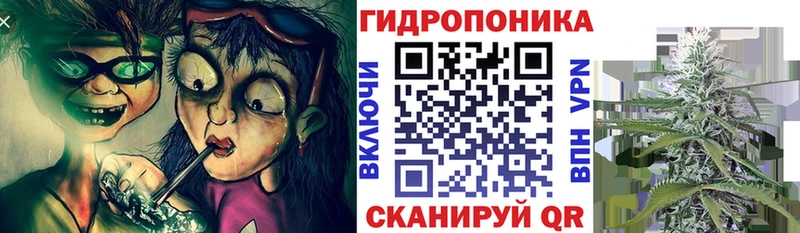 Канабис SATIVA & INDICA Рудня